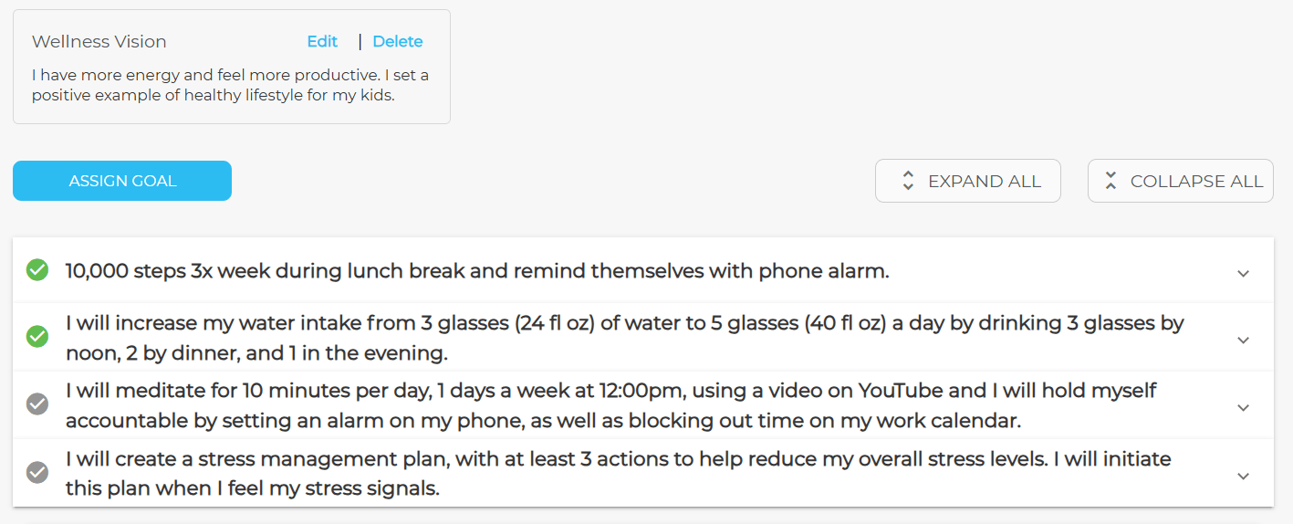 Wellness Vision & Goals