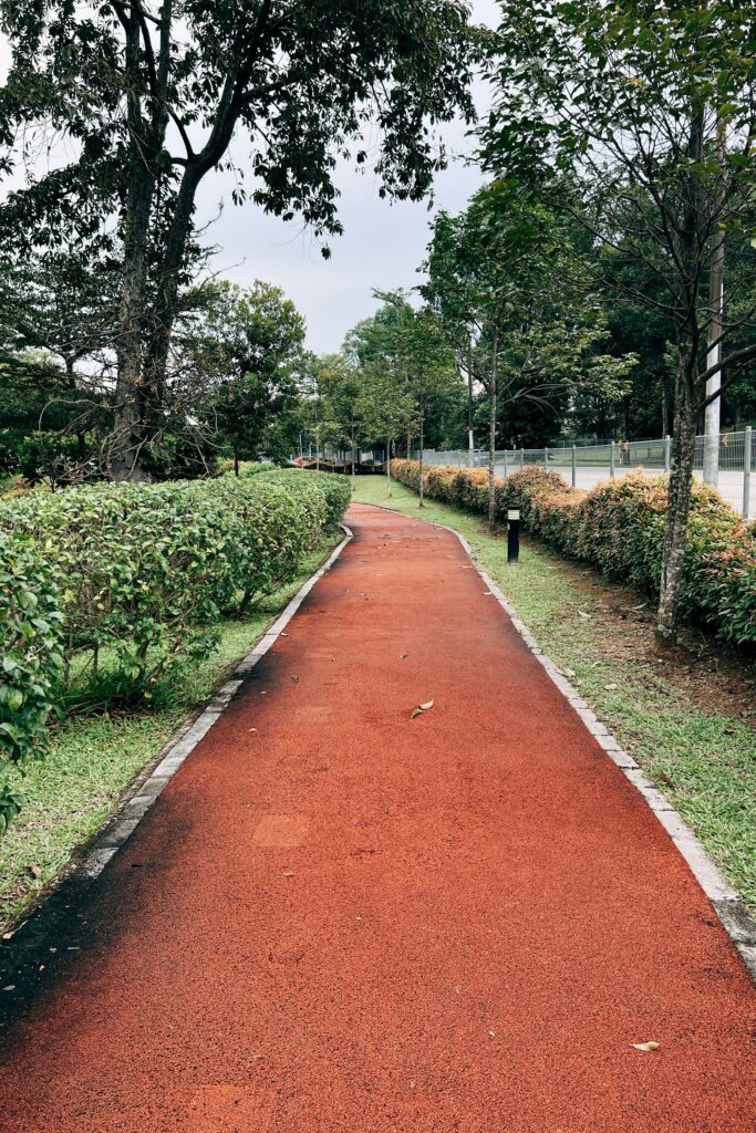 10 Wellness Myths Busted (and What Actually Works) 2 Photo of a quiet, red-paved path stretching into the distance through a green, tree-lined park—used to symbolize progress, persistence, and the journey toward personal wellness goals.