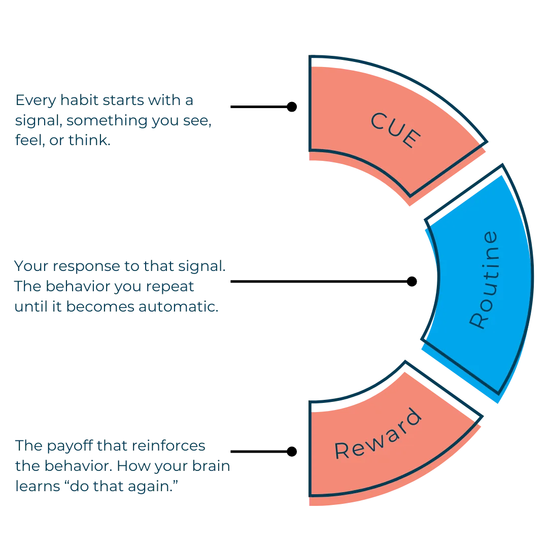 Habit loop diagram showing cue, routine, and reward