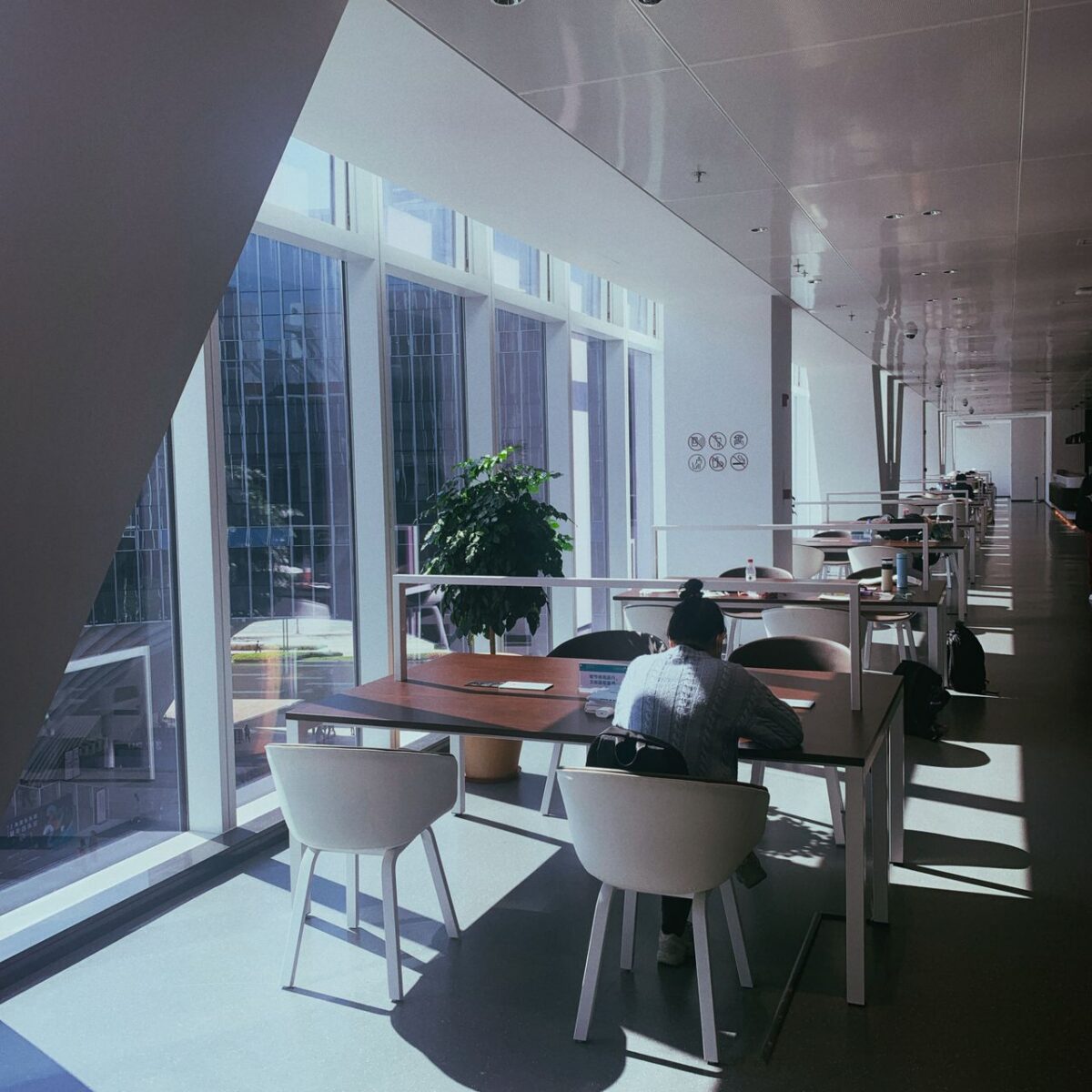 Employee working alone at a sunlit office workspace, illustrating workplace stress and isolation